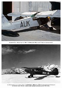 Piper L-21B_000028